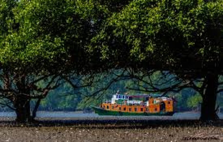 🌴 Sundarban Tour Package from Khulna 🌴