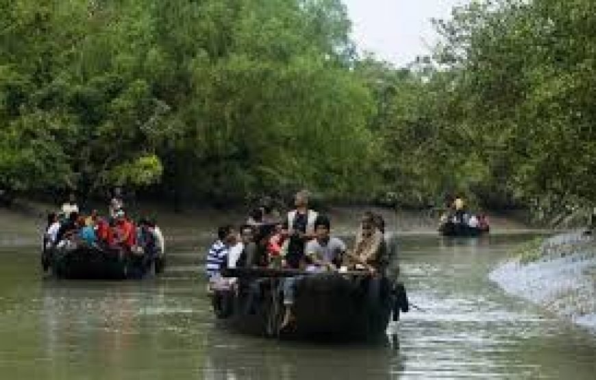 🌴 Sundarban Tour Package from Khulna 🌴