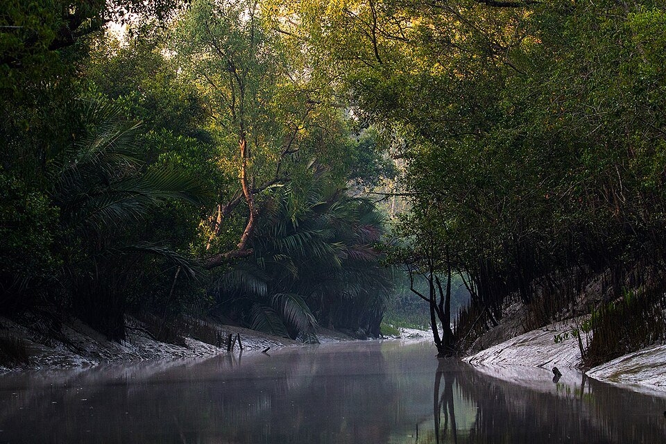 Kochikhali