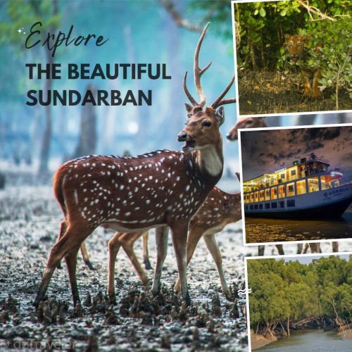 Day 2 – Stay in Sundarban